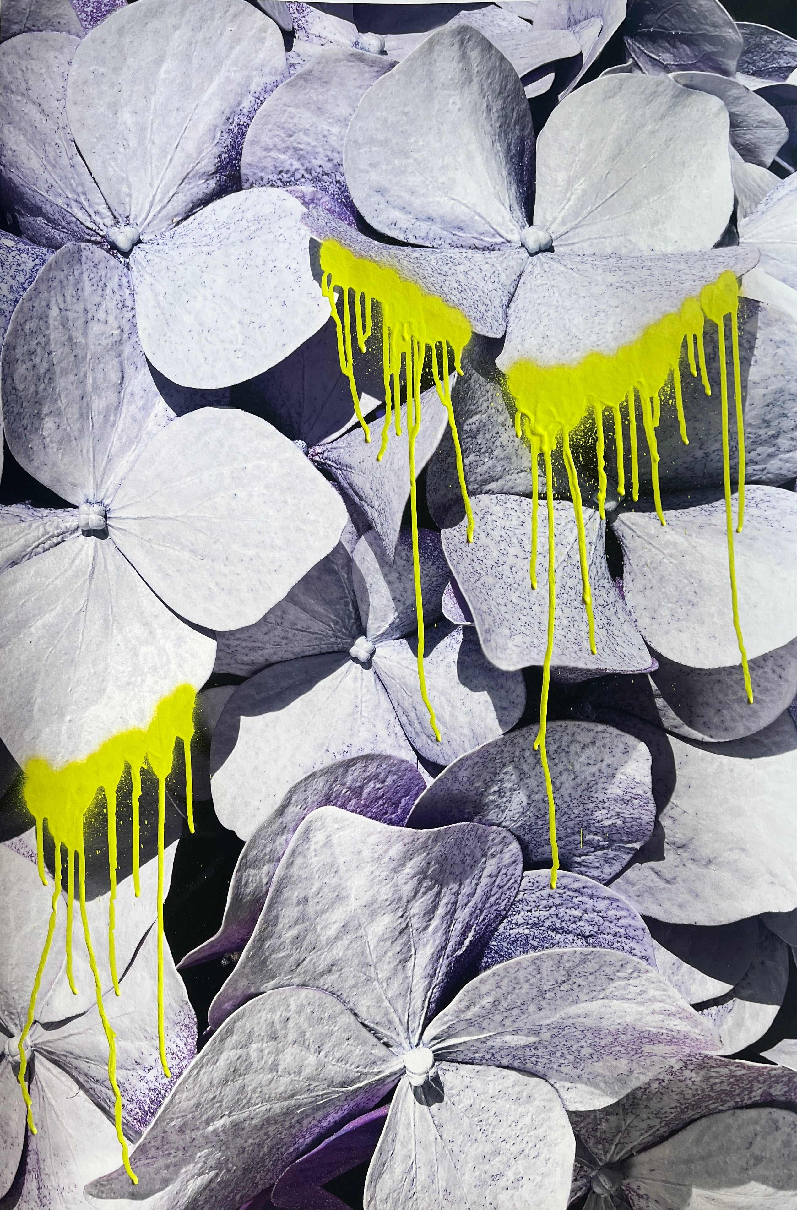 Neon Decay